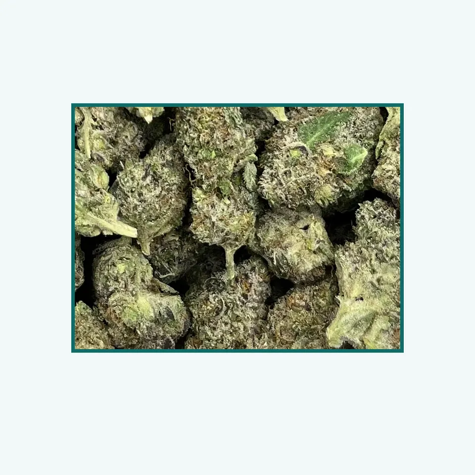 Black Magic greenhouse hemp THCA flower, close specimen view of the lot