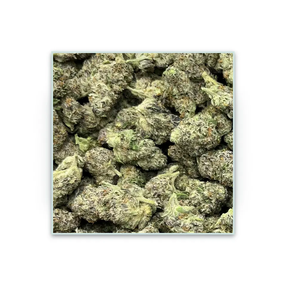 Black Magic greenhouse hemp THCA flower, specimen view on white