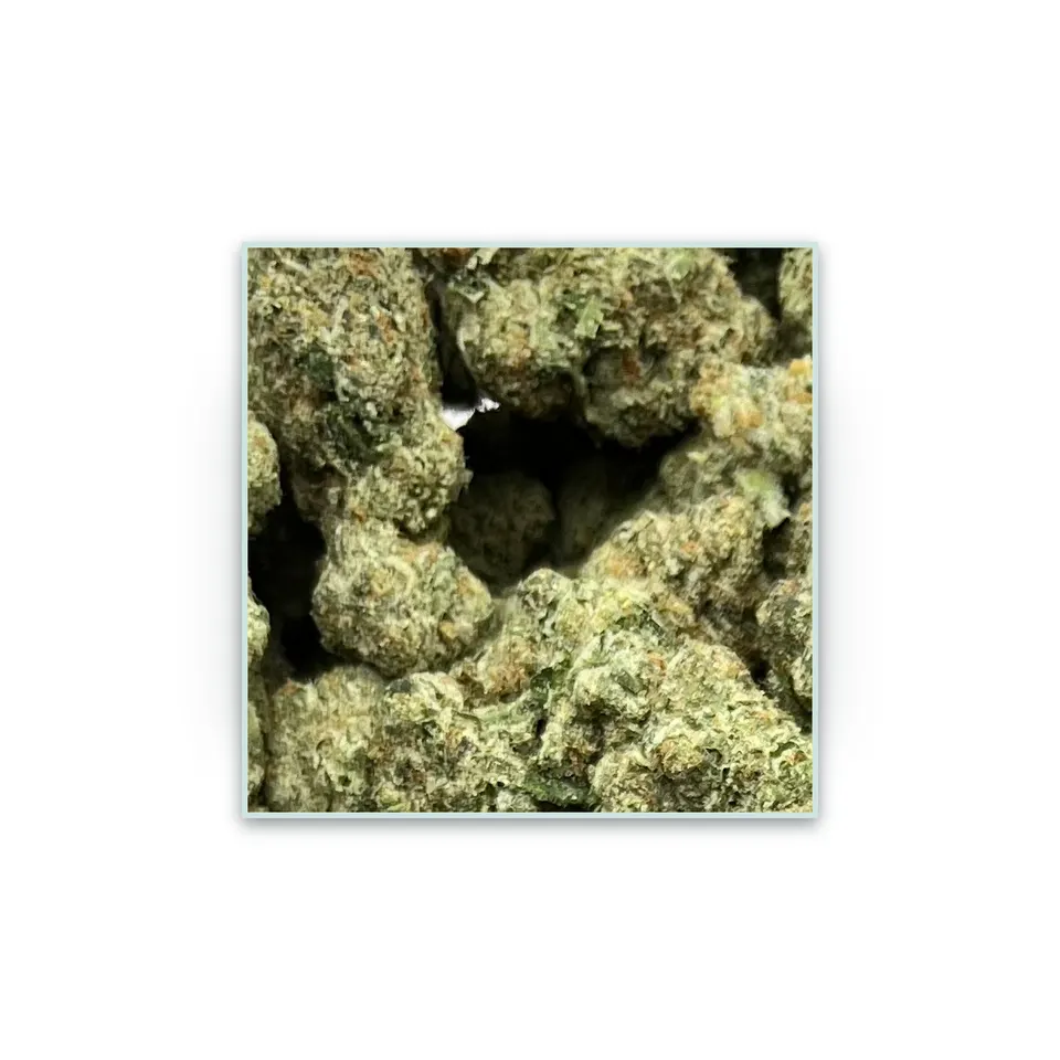 Blue Meteorite greenhouse hemp THCA flower, specimen view on white