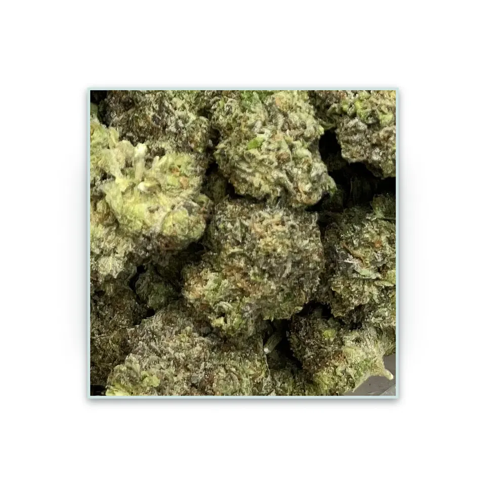 Cupcakez greenhouse hemp THCA flower, specimen view on white