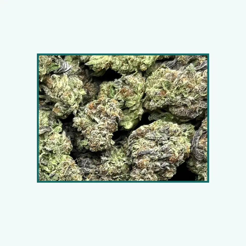 Gelato 45 greenhouse hemp THCA flower, close specimen view of the lot