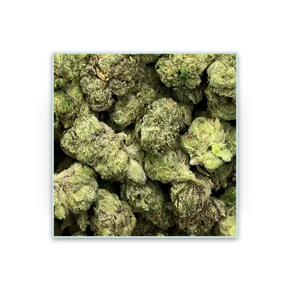 LFG greenhouse hemp THCA flower, specimen view on white