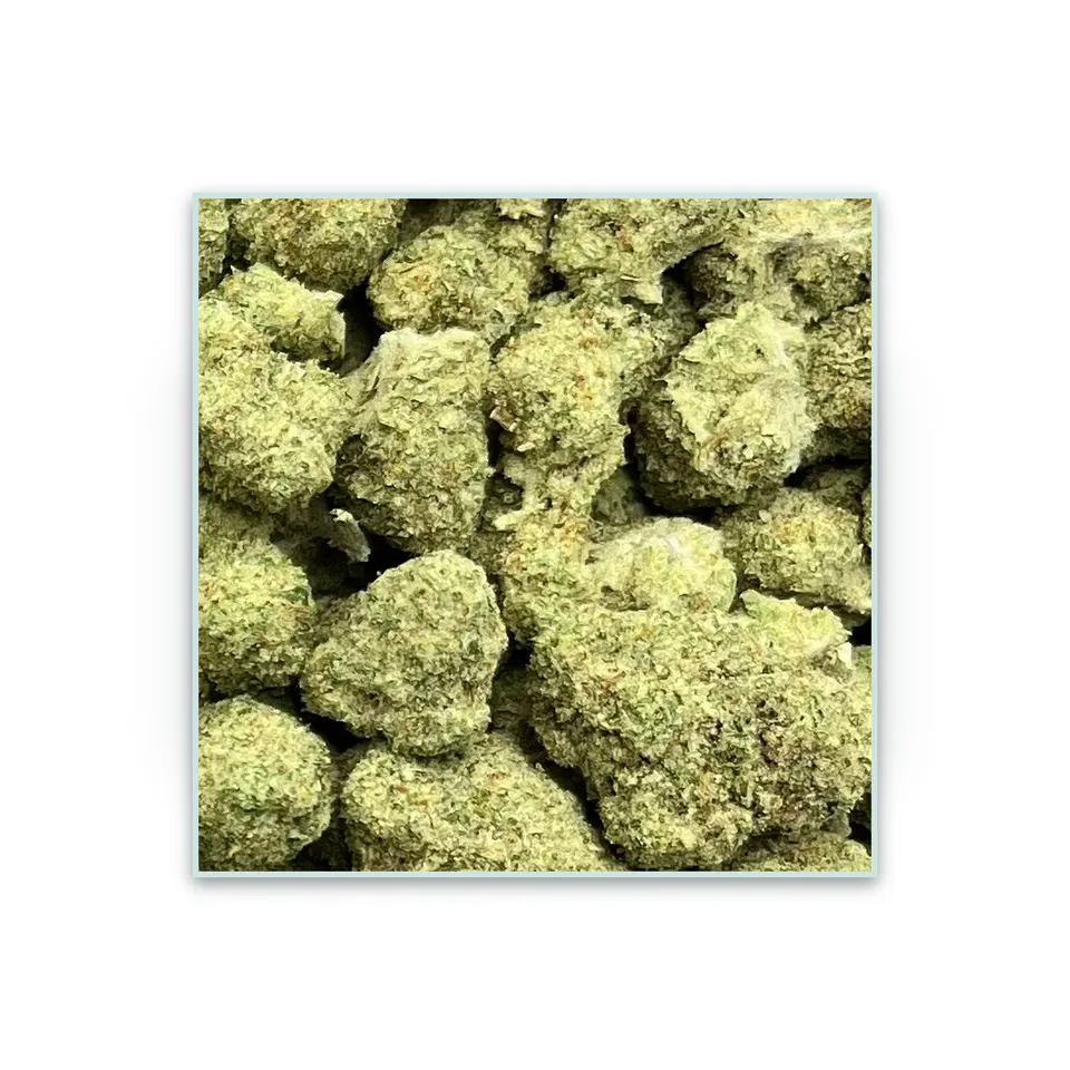 Papaya Punch greenhouse hemp THCA flower, specimen view on white