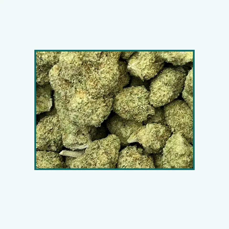 Papaya Punch greenhouse hemp THCA flower, close specimen view of the lot