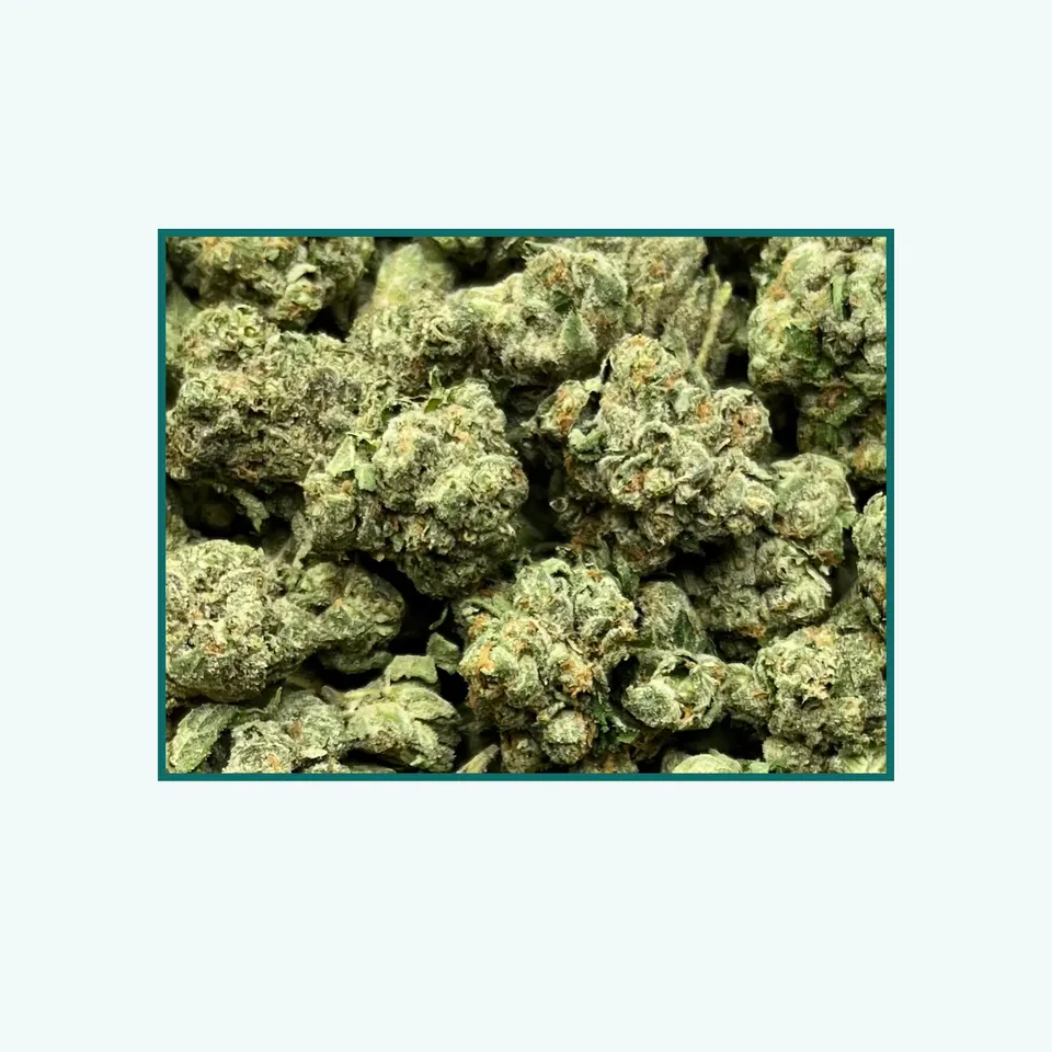 Sugar Tarts greenhouse hemp THCA flower, close specimen view of the lot