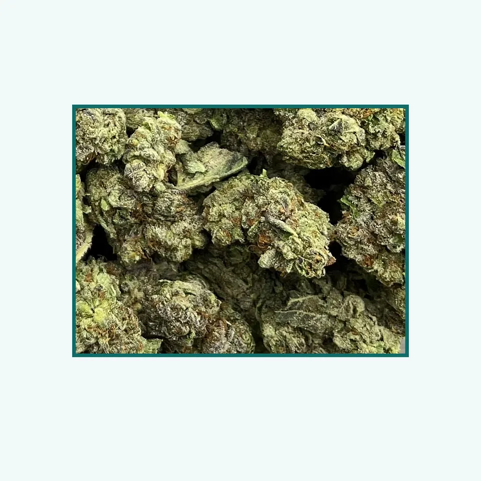 Wedding Pie greenhouse hemp THCA flower, close specimen view of the lot